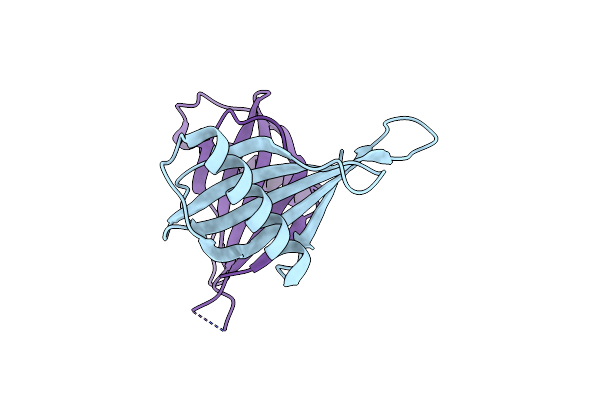 5YCT image