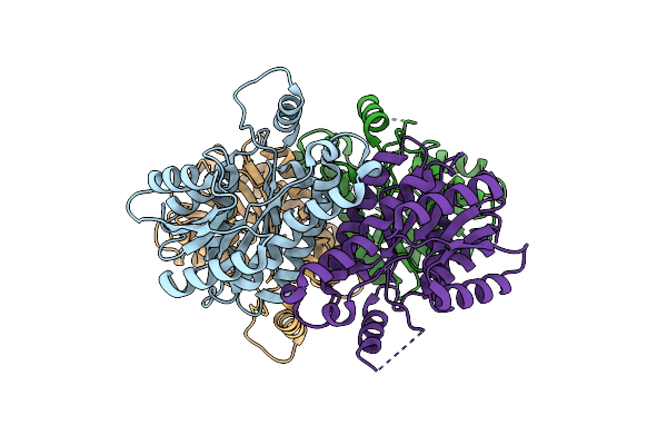 5YCV image