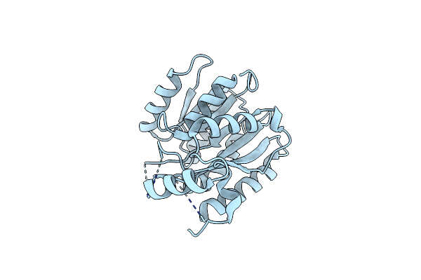 5YCX image