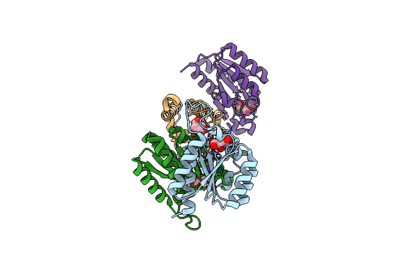5YDB image