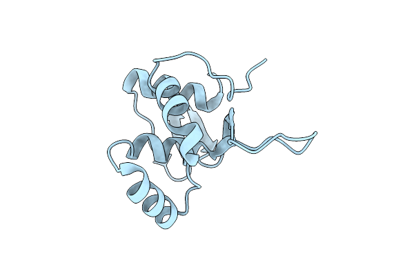 5YDE image