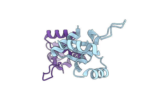 5YDF image