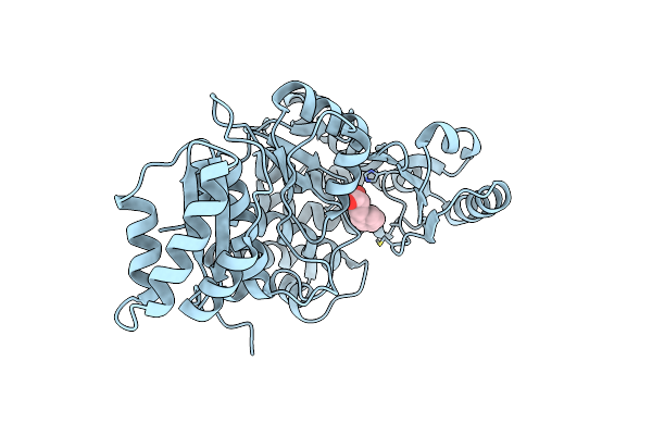 5YDM image