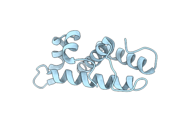 5YDN image