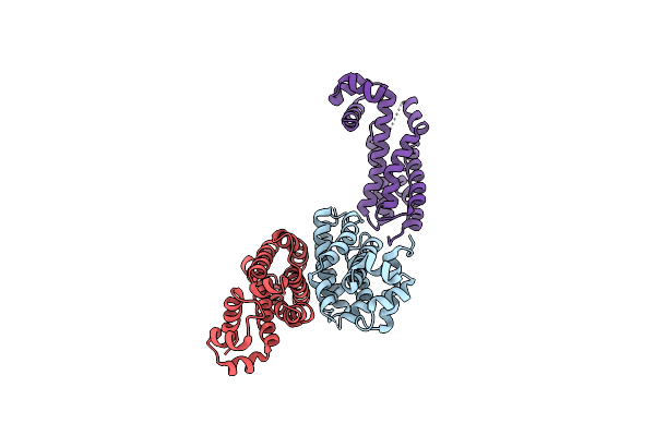 5YDP image