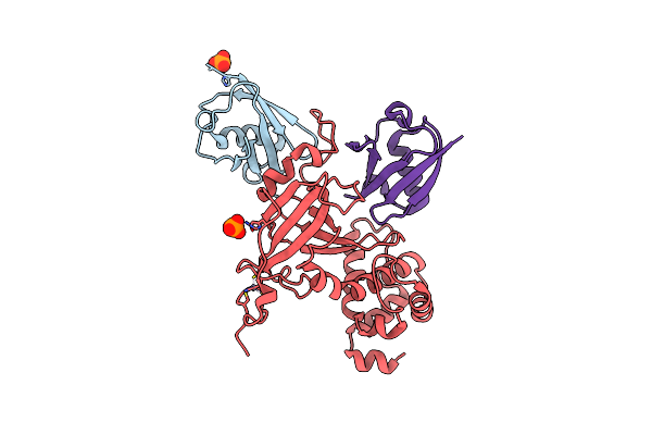 5YDR image