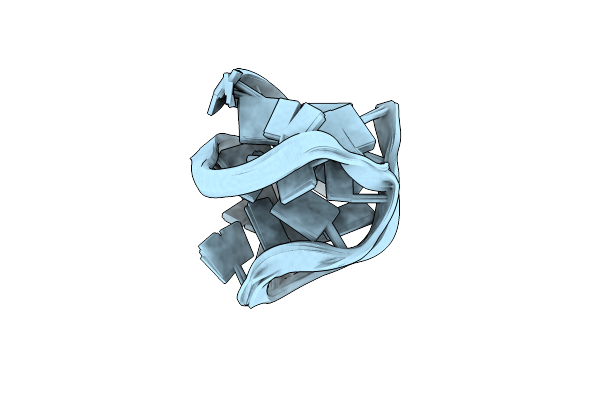 5YEY image