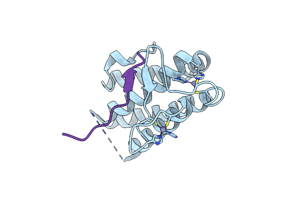 5YF4 image