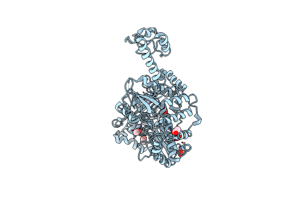 5YF8 image