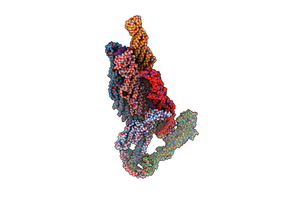 5YFP image