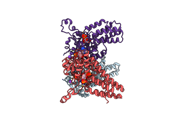 5YFU image