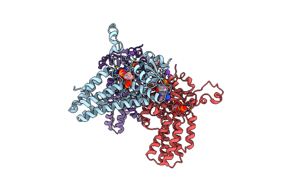 5YFV image