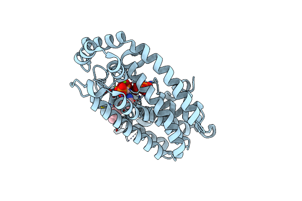 5YGI image