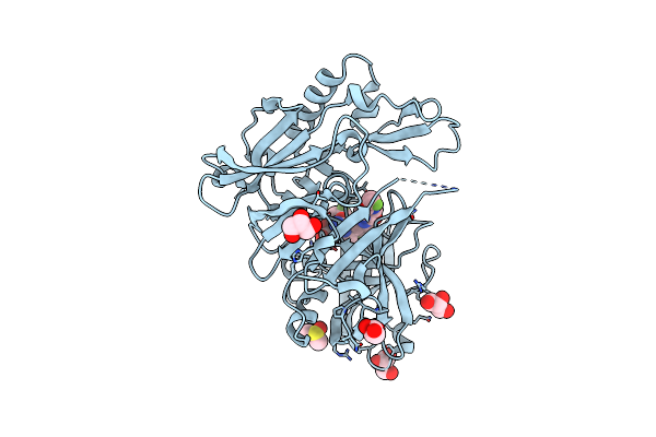 5YGX image