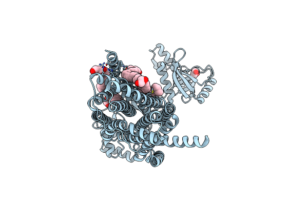 5YHF image