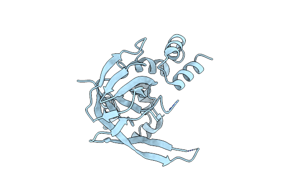 5YHH image