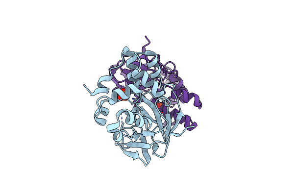 5YHI image