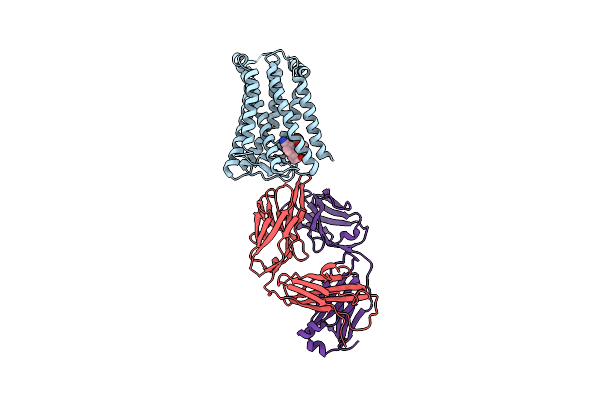 5YHL image