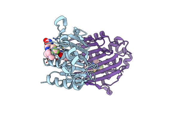 5YIG image