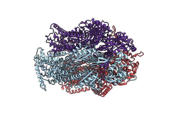 5YIL image