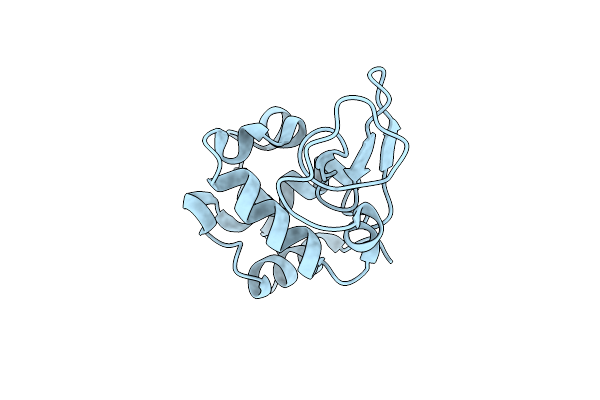 5YIN image