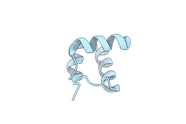 5YIU image