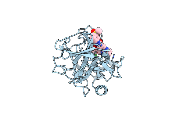 5YJK image