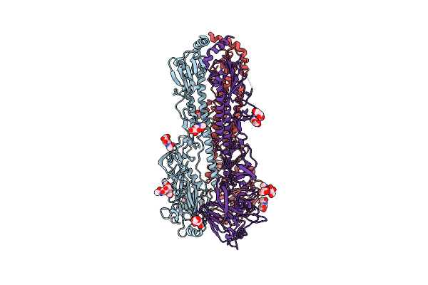 5YKC image