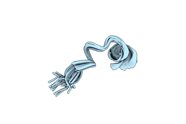 5YKK image