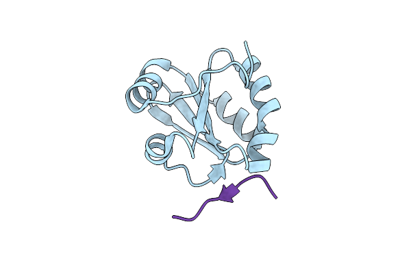 5YKW image