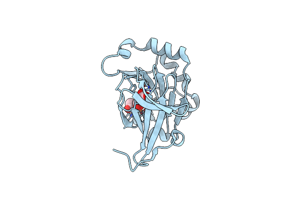 5YL6 image