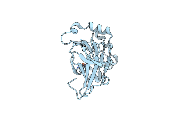 5YLB image