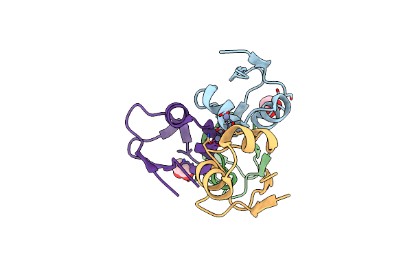 5YLG image