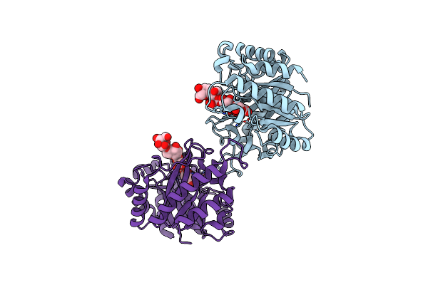 5YLI image