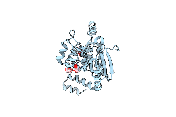 5YLO image