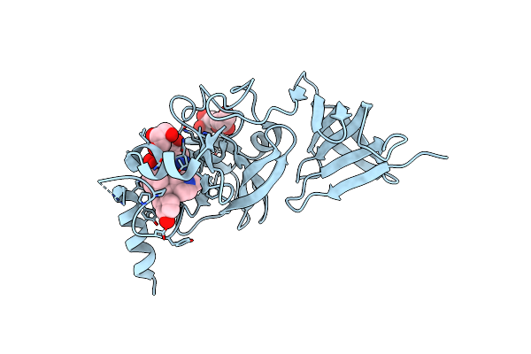 5YLT image