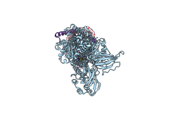 5YLV image