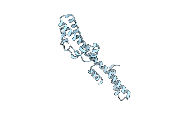 5YMA image