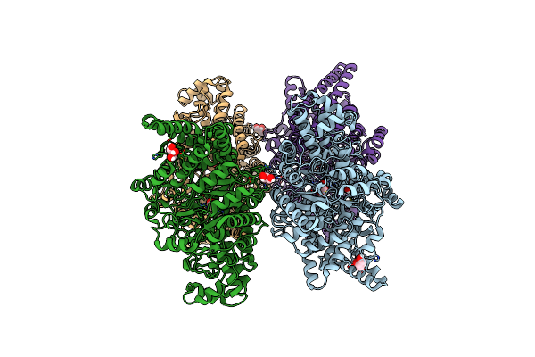 5YMR image
