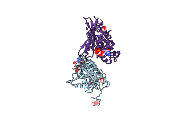 5YMX image