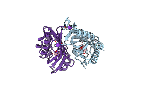 5YNG image