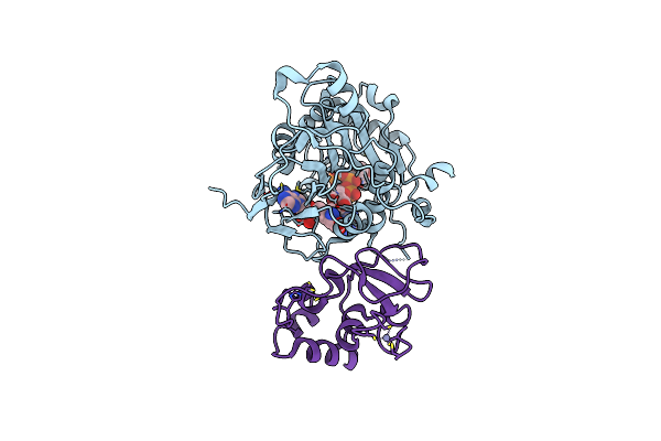 5YNI image