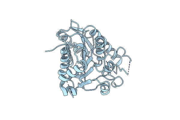 5YNL image