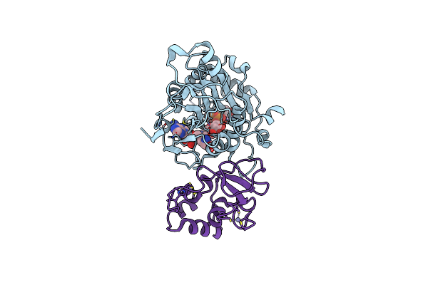 5YNM image