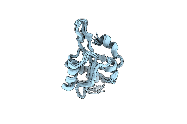 5YNR image