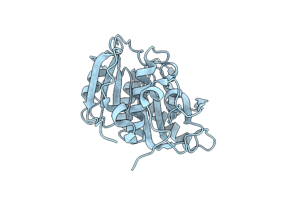5YNS image
