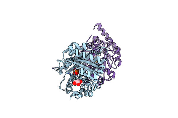 5YNV image