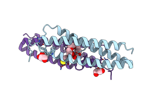 5YNX image