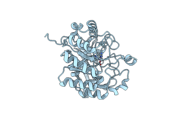 5YNZ image