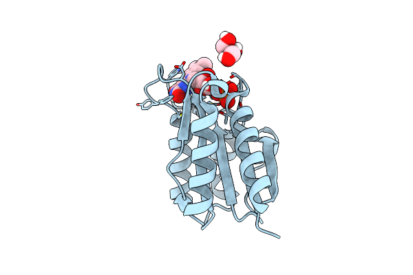 5YOC image